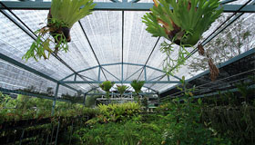 Image 01