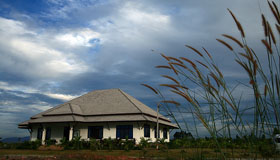 Image 06