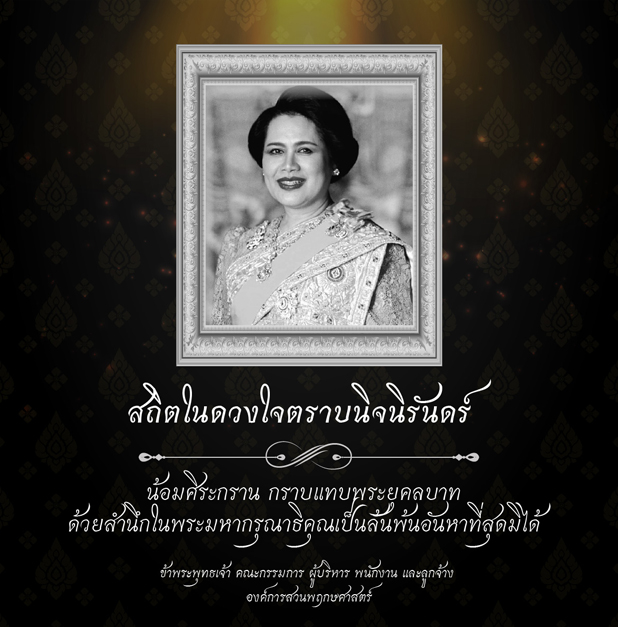 โปรโมชั่นพิเศษ